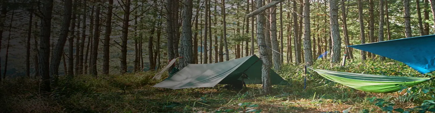 Forest camping with tents and hammocks in trees.