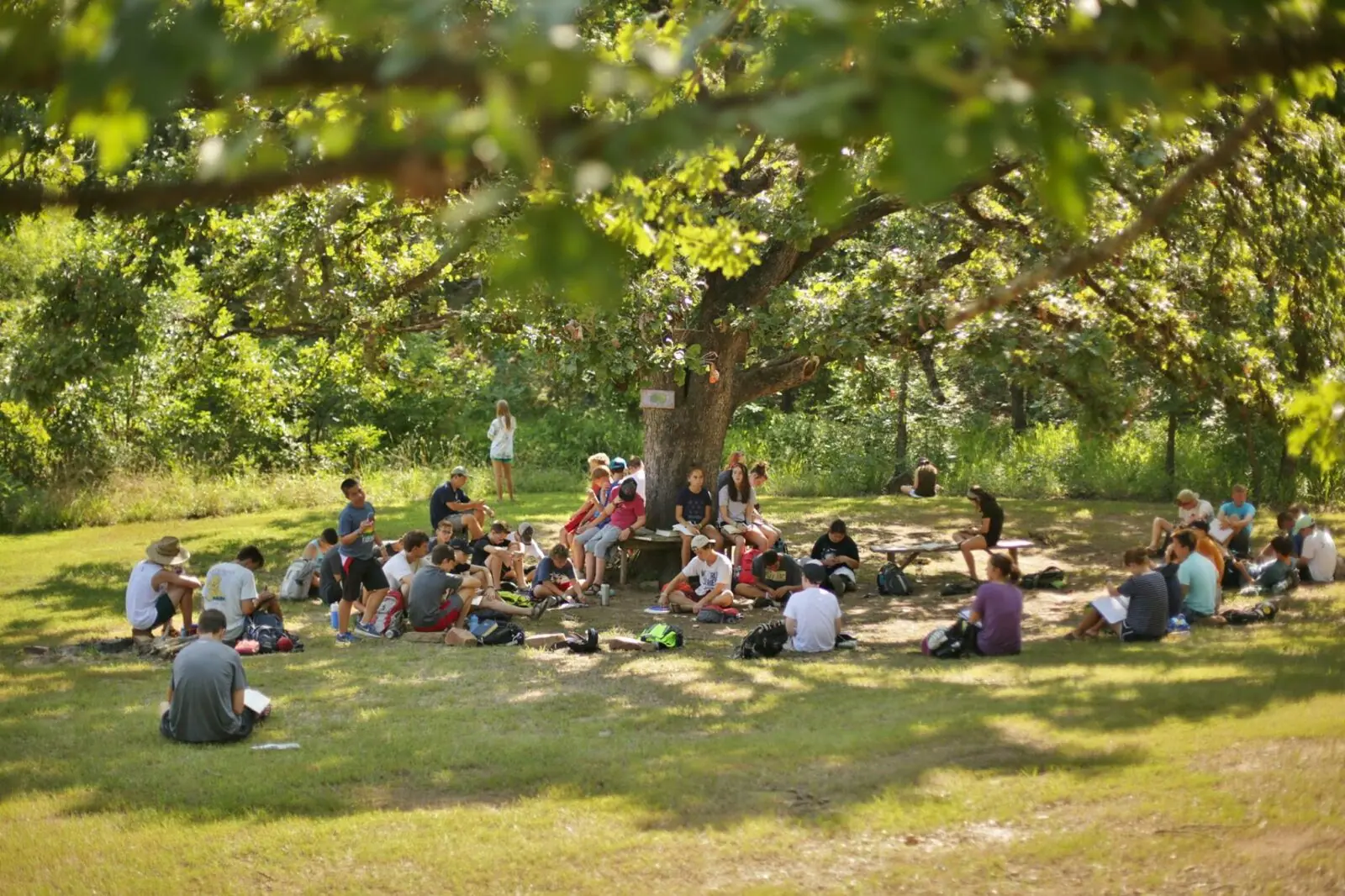 Campers gathered under a large tree.