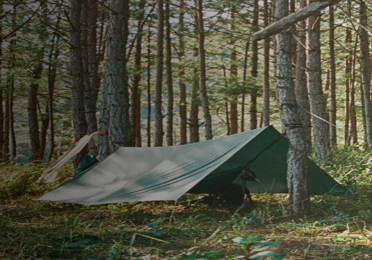 Forest camping with tents and hammocks in trees.